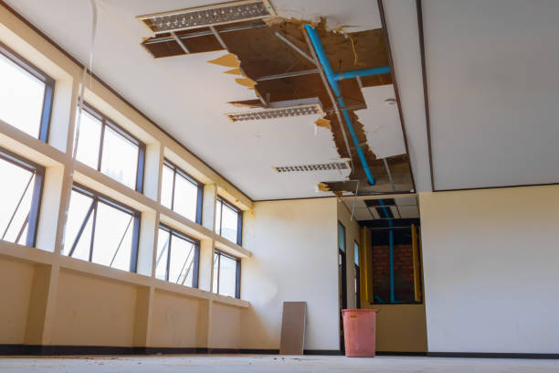 Best Mold removal after water damage  in New Market, AL