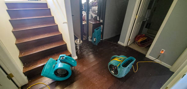 Best Water damage restoration near me  in New Market, AL