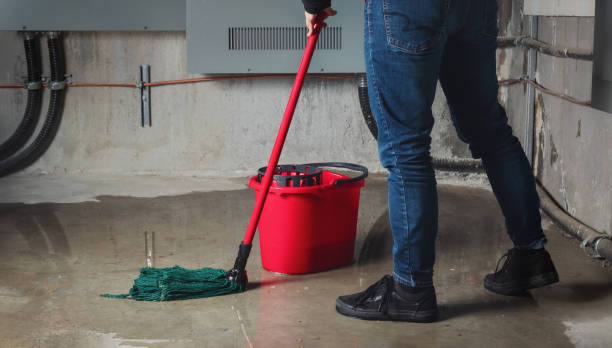 Best Sewage cleanup and water damage restoration  in New Market, AL