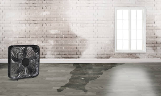 New Market, AL Water damage restoration Company