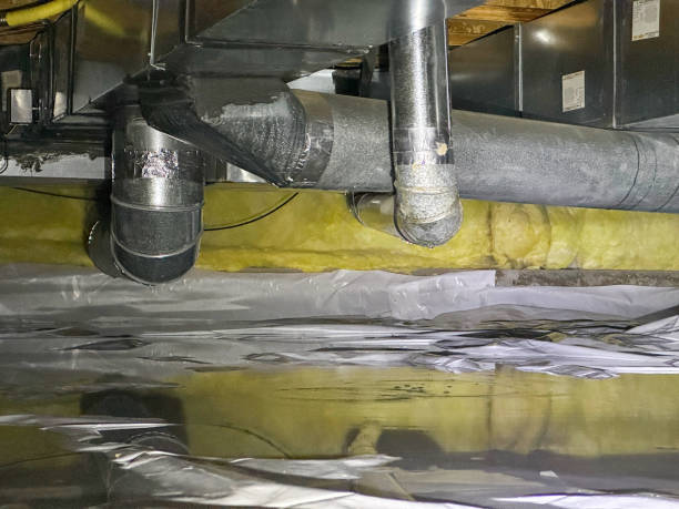 Best Flood damage cleanup  in New Market, AL