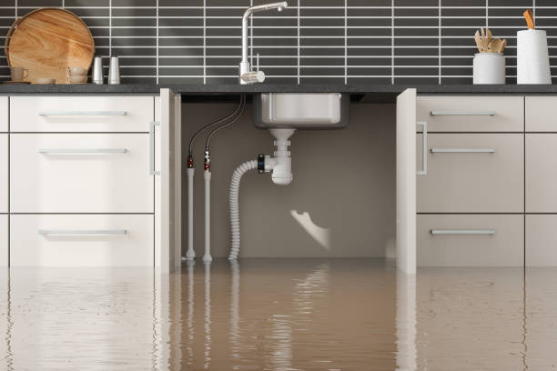 Best Fire Damage Restoration  in New Market, AL