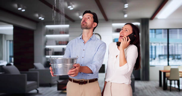 Best Sewage cleanup and water damage restoration  in New Market, AL